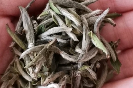 如何買(mǎi)茶葉不上當(dāng)，怎么買(mǎi)茶葉不被坑？