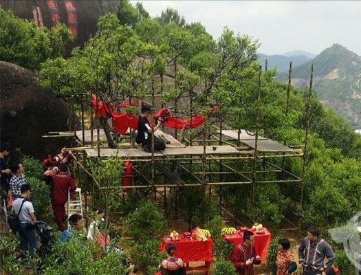 宋種一號(hào)價(jià)值為什么高，鳳凰單樅宋種1號(hào)價(jià)格與產(chǎn)量多少？